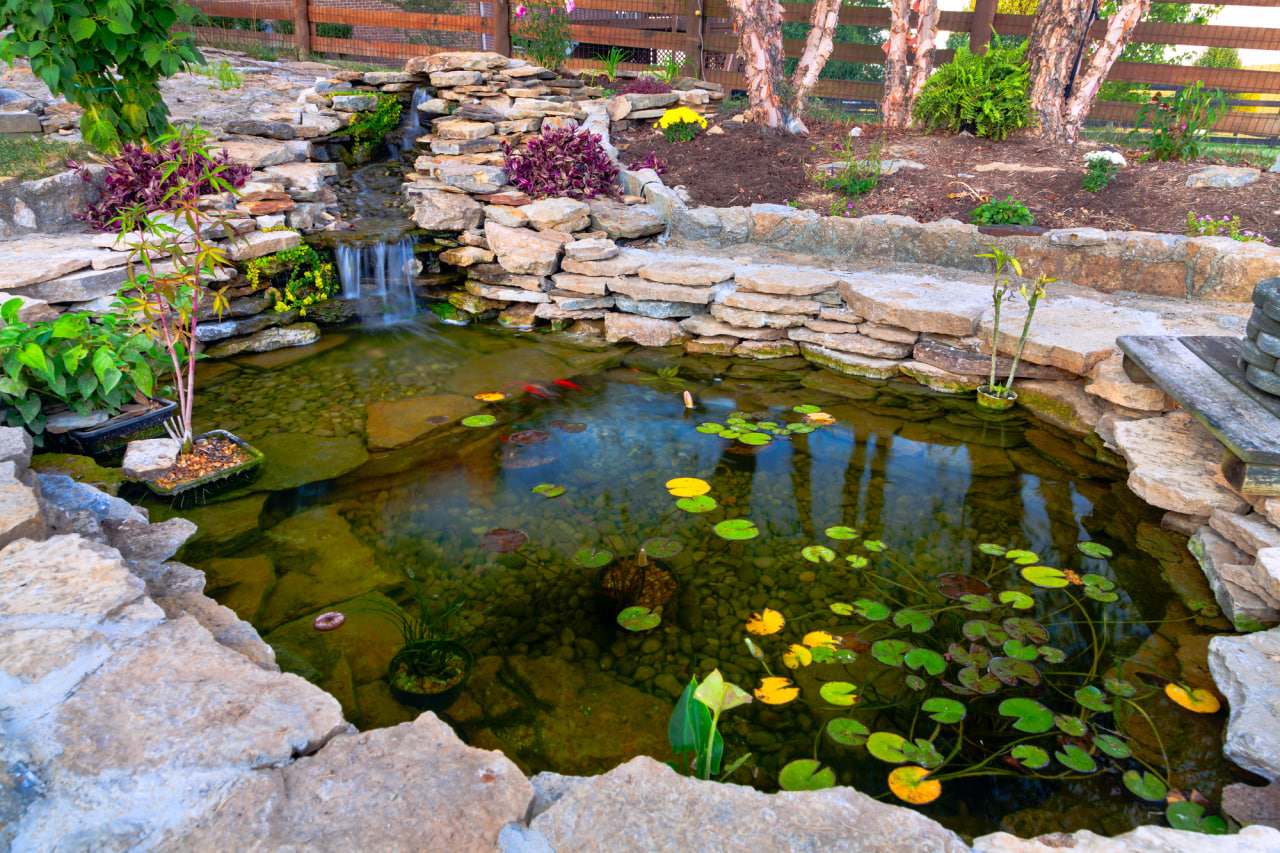 Year-round pond care: A guide to clear and healthy pond water
